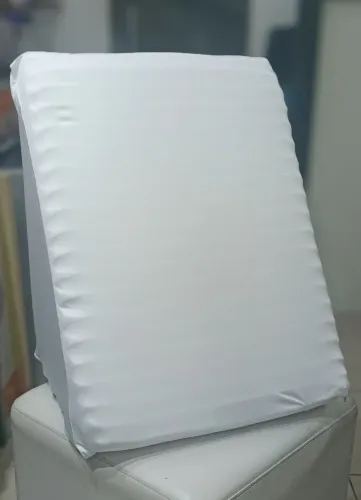 Encosto Anatômico 