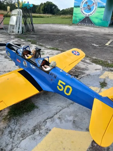 Aeromodelo PT 19 seagull modes