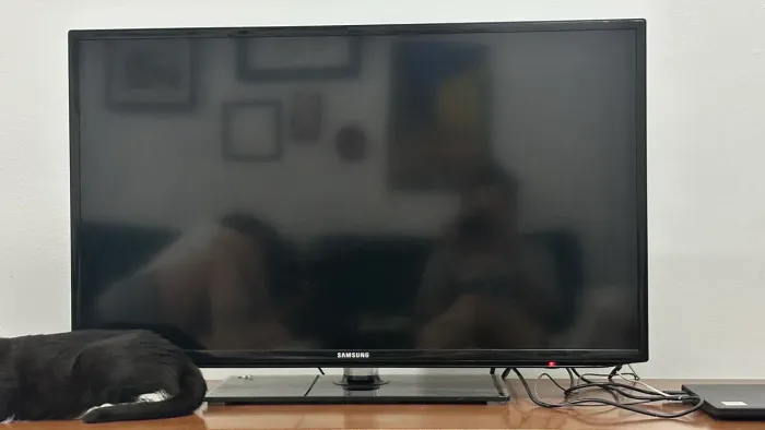 TV SAMSUNG 40 polegadas funcionando perfeitamente. 
