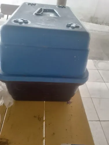 Caixa de transporte animal 