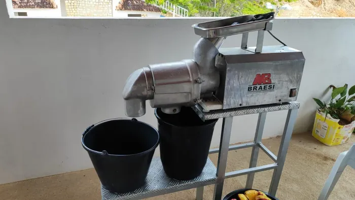 Dispolpadeira braesi