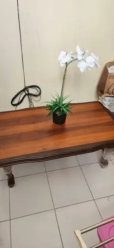 Mesa de Centro em Madeira Maciça
