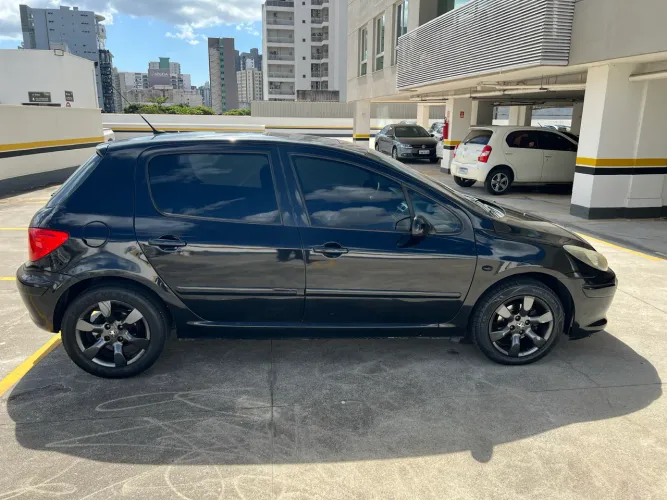 Peugeot 307 Soleil/ Presence 1.6/1.6 Flex 16V 5P 2009