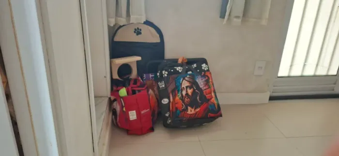 Kit para filhote de cachorro