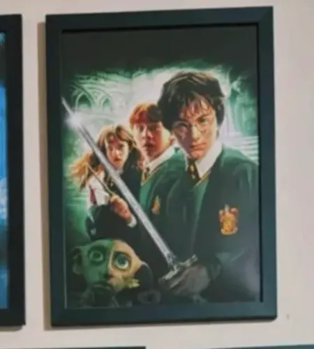 Quadro Harry Potter câmera secreta