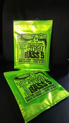 Cordas Ernie Ball Regular Slinky Bass 5