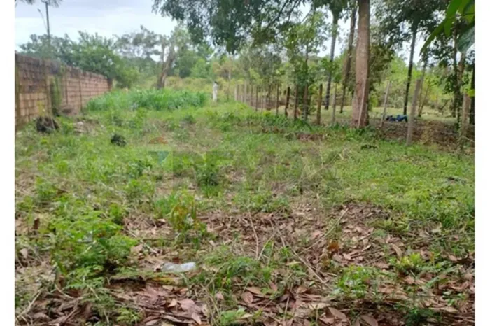 "Lote de Terreno dos Sonhos em Iranduba: Natureza e Tranquilidade"