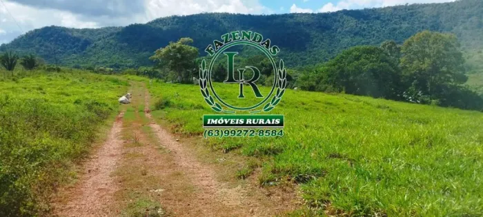 Fazenda Próximo a Araguaina TO