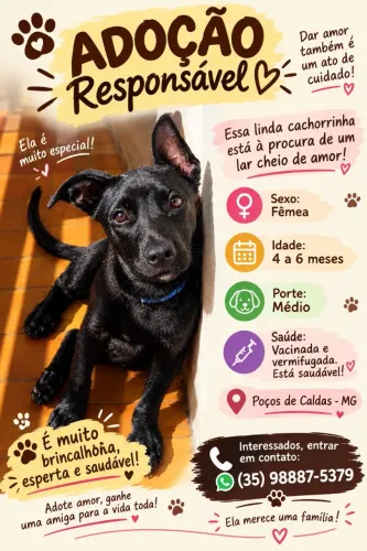 ADOÇÃO RESPONSÁVEL