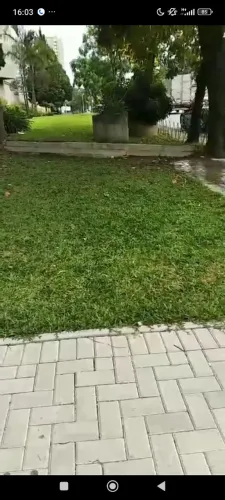 Corte de grama