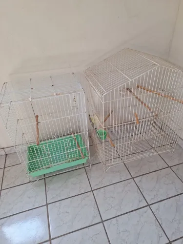 Gaiolas para calopsitas ou outros!