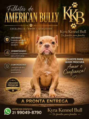 Disponível
