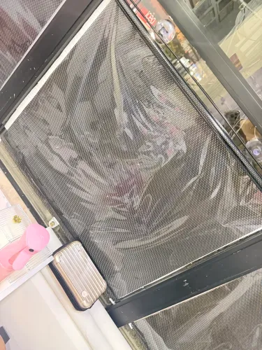 Cortinas persiana autolante ventosa 50.00 cada