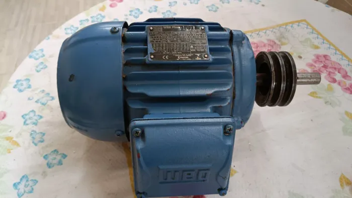 Motor trifásico 