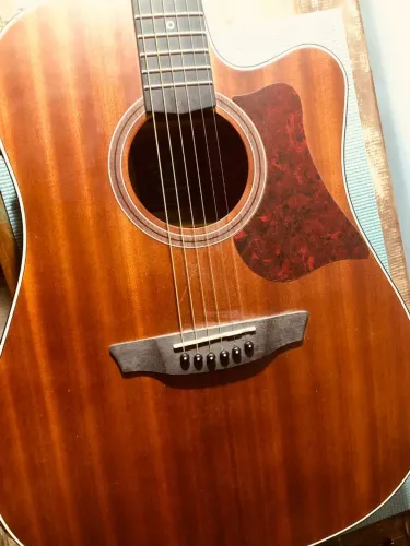 Violão Steinberg SD200c MGS