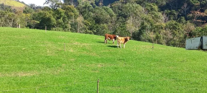 Sítio para Venda em Alfredo Wagner, Limeira, 3 dormitórios, 1 banheiro, 5 vagas