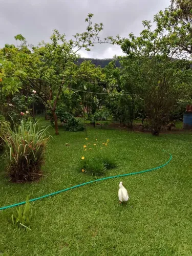 Vende -se sítio em Santa Luzia/MG