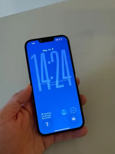 iPhone 13 Pro Max (256 GB)