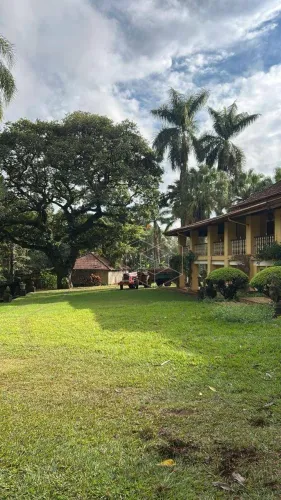 Sítio à venda, 152460 m² por R$ 3.000.000 - Zona Rural - Jaú/SP
