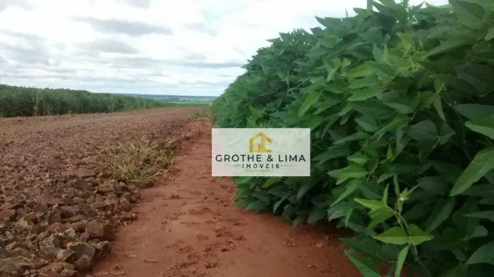 Fazenda com 570 alqueires à venda em Terrenos/MS.
