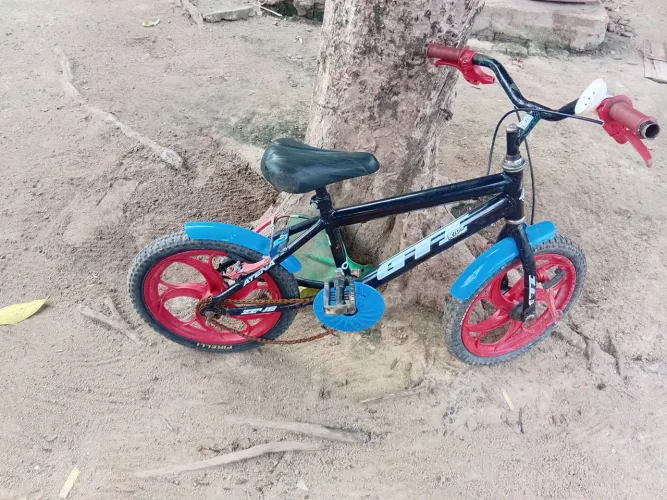 Bicicleta Infantil 