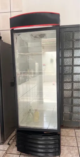 Freezer vertical
