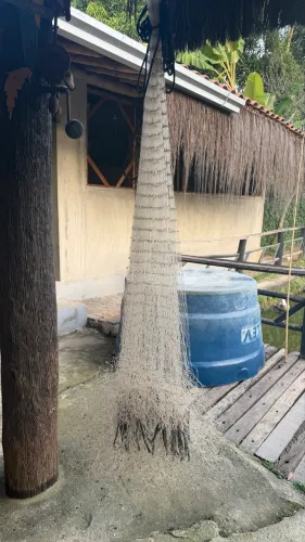 Tarrafa para pesca 
