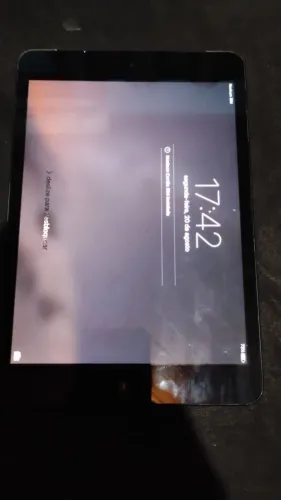 iPad A1454