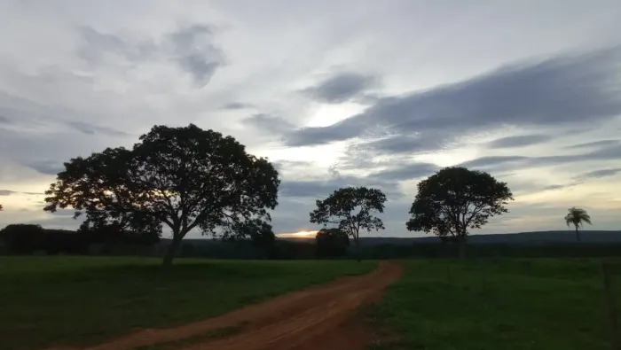 Fazenda Escriturada GEO E CAR 28 hectares Povoado Bezerra Formosa Goiás