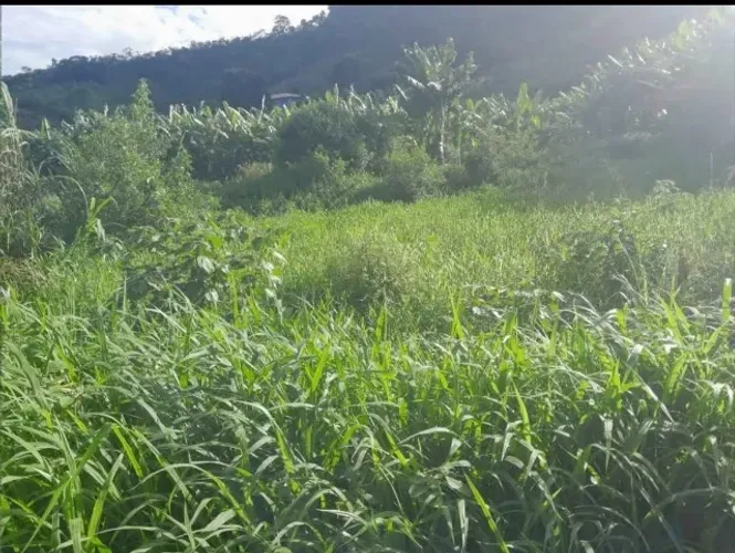7 hectares escriturado abaixou 330 mil