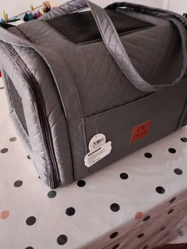 Transporte de Pet Raça pequena para avião