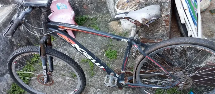 Bicicleta