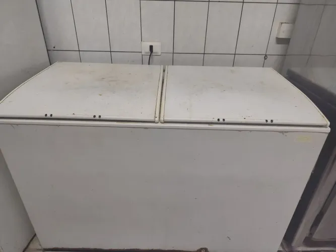 Freezer Horizontal 2 portas 110v