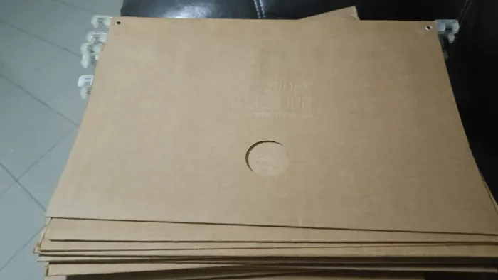 Lote de pastas suspensa kraft.(Nova)