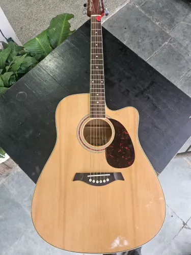 Violão Gianini Performance 