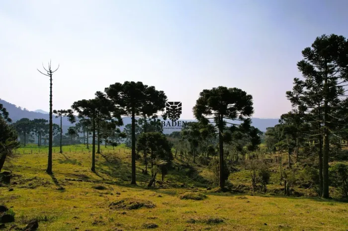 Terreno de 2 Hectares na Rota das Cachoeiras - Urubici/SC