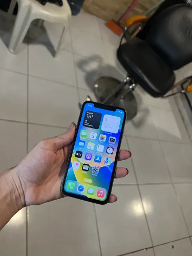 iPhone X