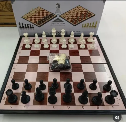 JOGO DE XADREZ E DAMA 2 EM 1 MAGNETICO