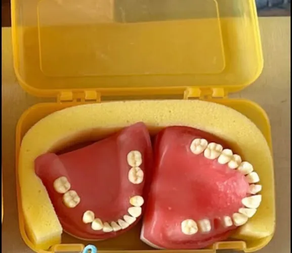 Refil de manequim odontológico da Pronew