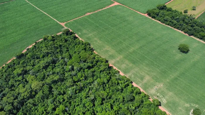 Vende-se excelente Sitio no município de Indiaporã-SP