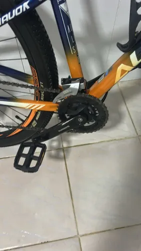 Bike audax 