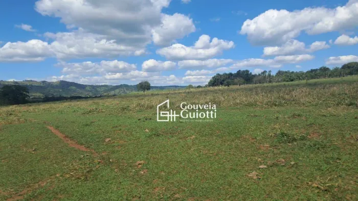 Chácara de 4 Alqueires à Venda 10 km de Ouro Verde de Goiás/GO