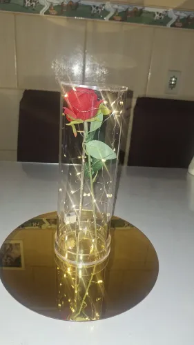 Cúpula luminosa com flor