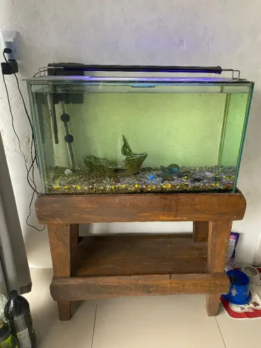 Vendo lindo aquario
