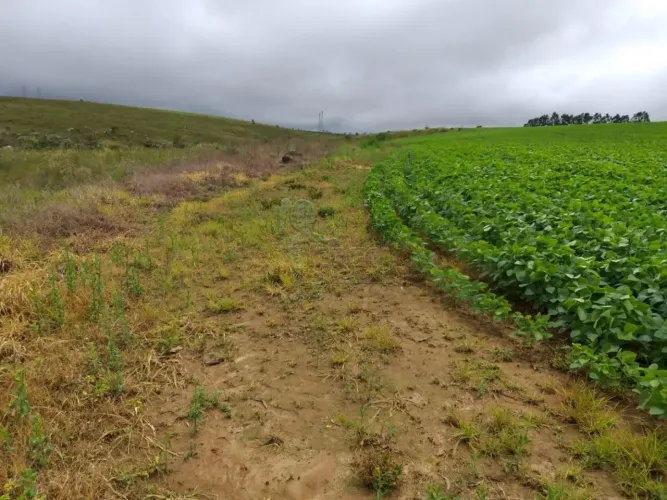 Fazenda de 90 hectares com 03 casas e 02 minas d`água à venda - Sacramento/MG