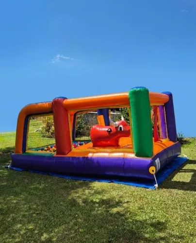 Locação de brinquedos infláveis - piscina de bolinhas - pula pula