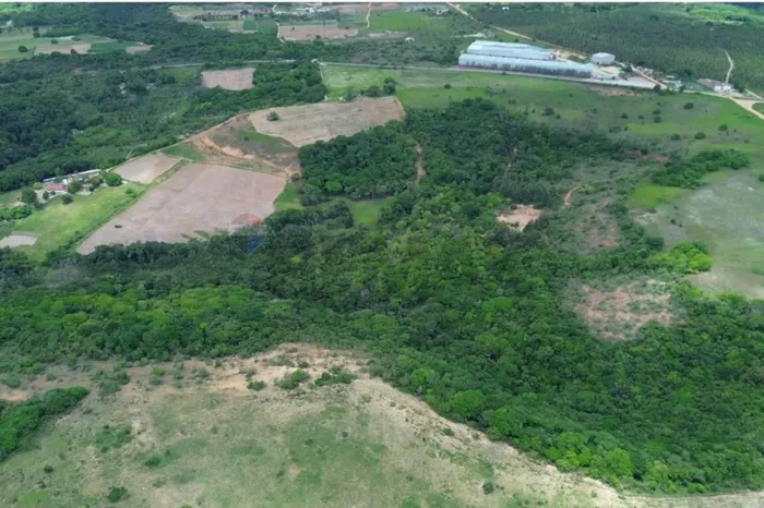 Excelente oportunidade de investimento imobiliário rural na Paraíba!
