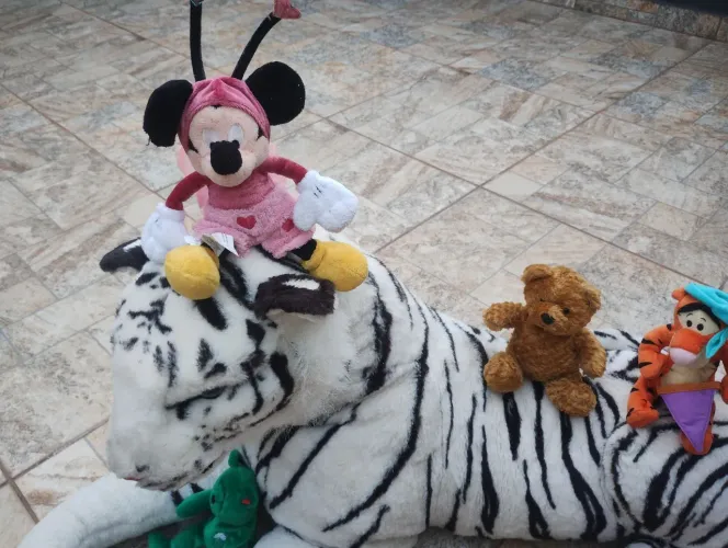 Bichinhos de pelúcia diversos