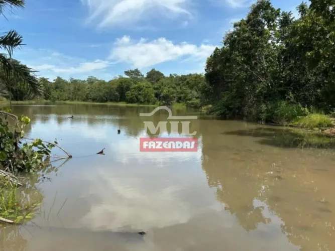 Fazenda 67,5 Alqueires (312 Hectares) Novo Brasil - GO