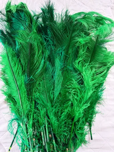Plumas para decoração 